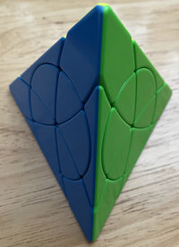 Flower Petal Pyraminx